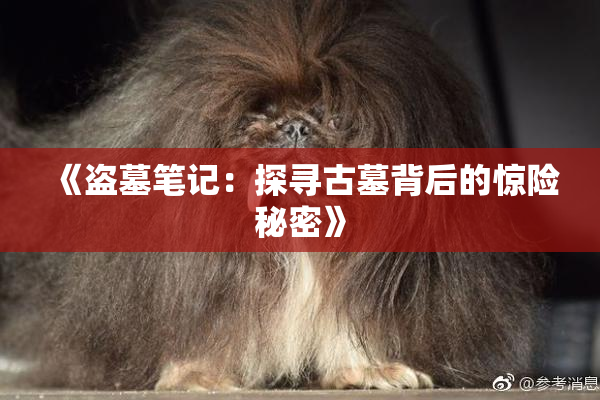 《盗墓笔记：探寻古墓背后的惊险秘密》