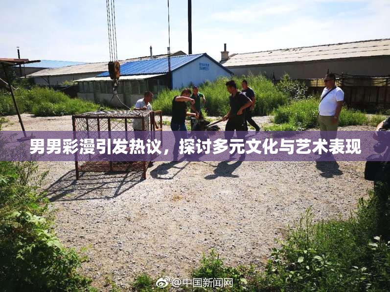 男男彩漫引发热议，探讨多元文化与艺术表现