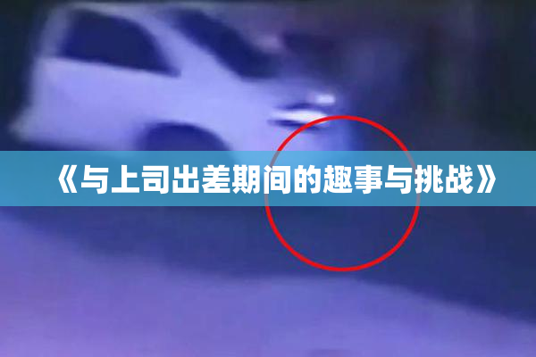 《与上司出差期间的趣事与挑战》