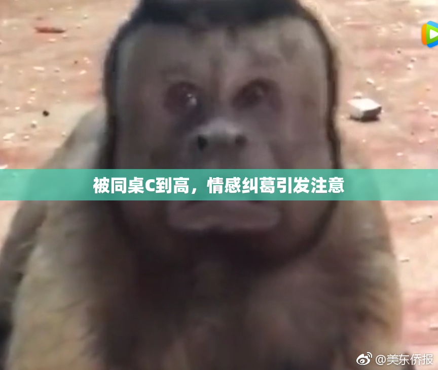 被同桌C到高，情感纠葛引发注意