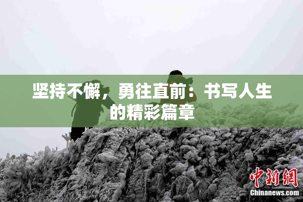 坚持不懈，勇往直前：书写人生的精彩篇章