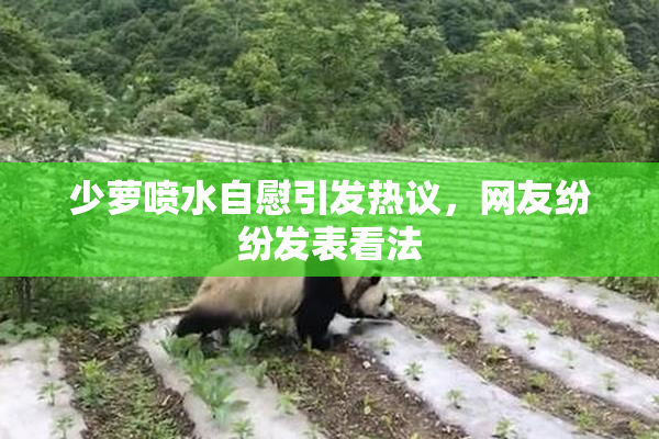 少萝喷水自慰引发热议，网友纷纷发表看法