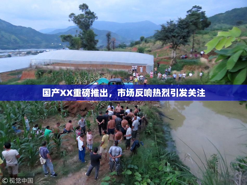 国产XX重磅推出，市场反响热烈引发关注