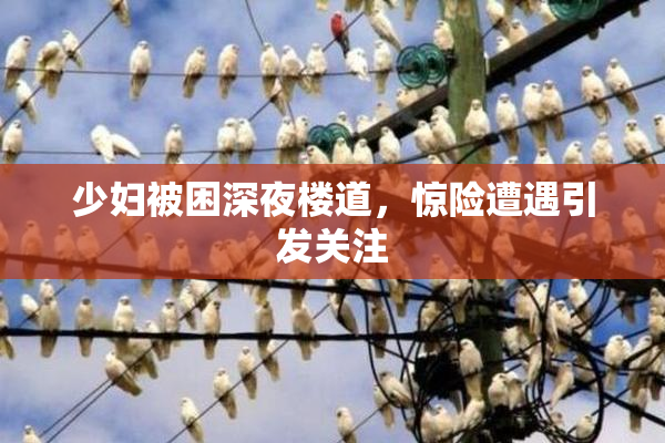 少妇被困深夜楼道，惊险遭遇引发关注