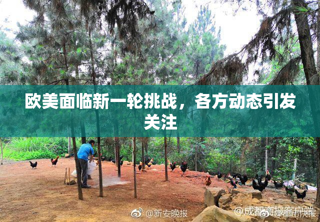 欧美面临新一轮挑战，各方动态引发关注