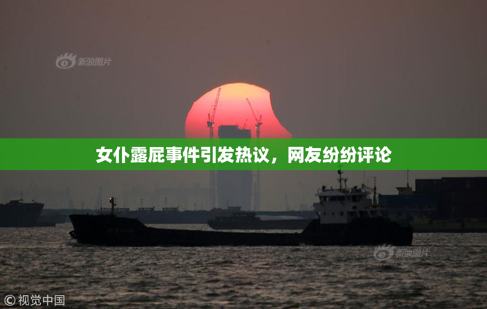 女仆露屁事件引发热议，网友纷纷评论