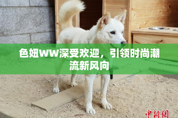 色妞WW深受欢迎，引领时尚潮流新风向