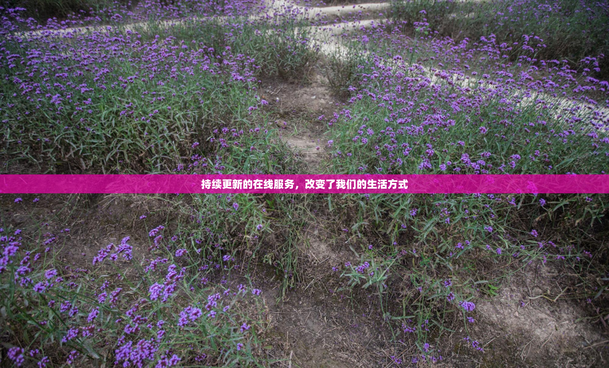 持续更新的在线服务，改变了我们的生活方式