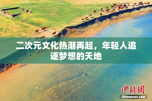 二次元文化热潮再起，年轻人追逐梦想的天地