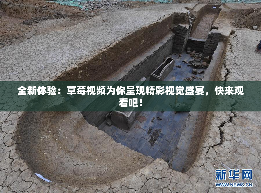 全新体验：草莓视频为你呈现精彩视觉盛宴，快来观看吧！