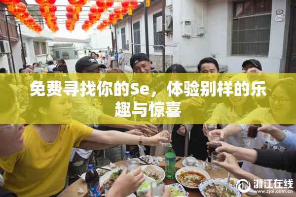 免费寻找你的Se，体验别样的乐趣与惊喜