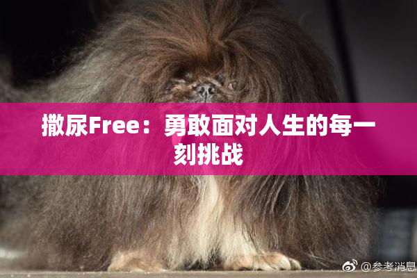 撒尿Free：勇敢面对人生的每一刻挑战