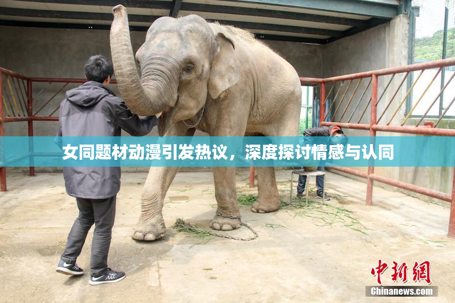 女同题材动漫引发热议，深度探讨情感与认同