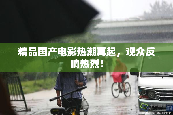 精品国产电影热潮再起，观众反响热烈！