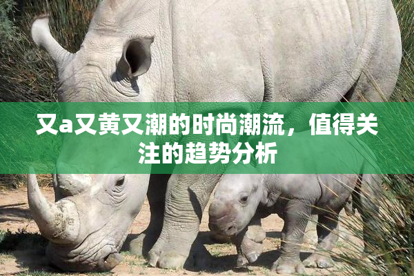 又a又黄又潮的时尚潮流，值得关注的趋势分析