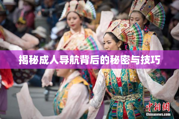 揭秘成人导航背后的秘密与技巧