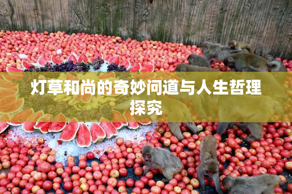 灯草和尚的奇妙问道与人生哲理探究