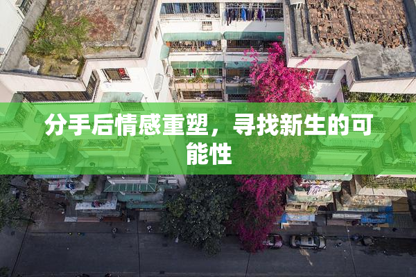 分手后情感重塑，寻找新生的可能性