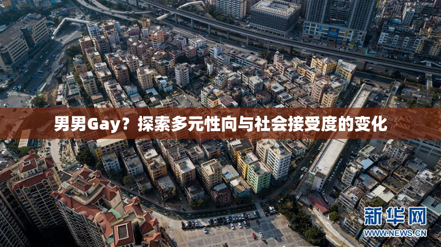 男男Gay？探索多元性向与社会接受度的变化