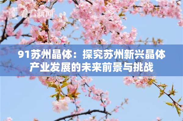 91苏州晶体：探究苏州新兴晶体产业发展的未来前景与挑战