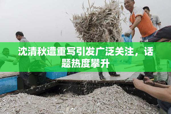 沈清秋遭重写引发广泛关注，话题热度攀升