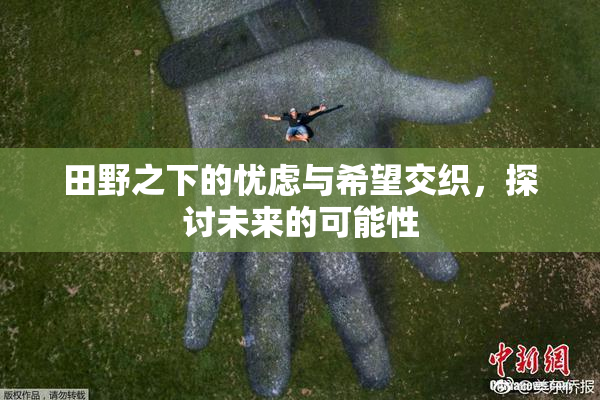 田野之下的忧虑与希望交织，探讨未来的可能性