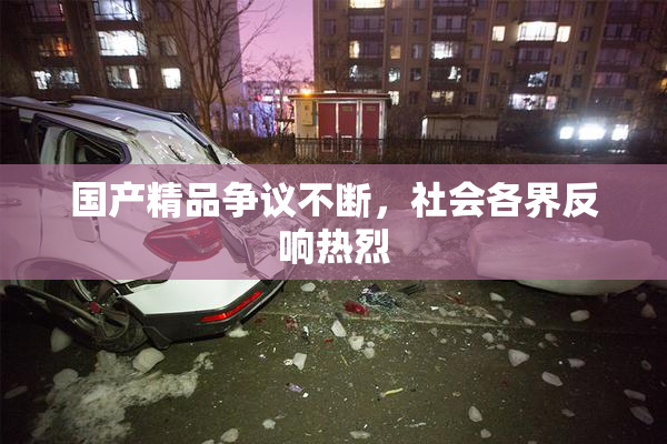 国产精品争议不断，社会各界反响热烈