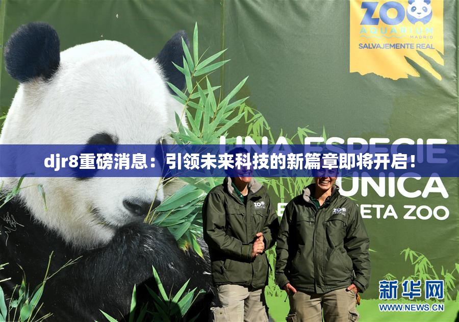 djr8重磅消息：引领未来科技的新篇章即将开启！