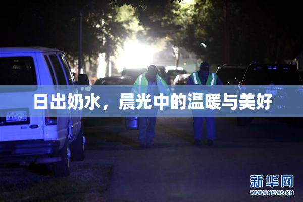 日出奶水，晨光中的温暖与美好