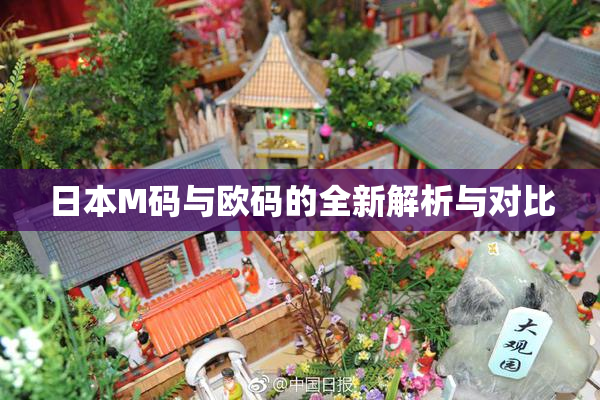 日本M码与欧码的全新解析与对比