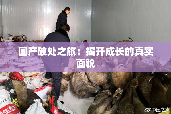 国产破处之旅：揭开成长的真实面貌
