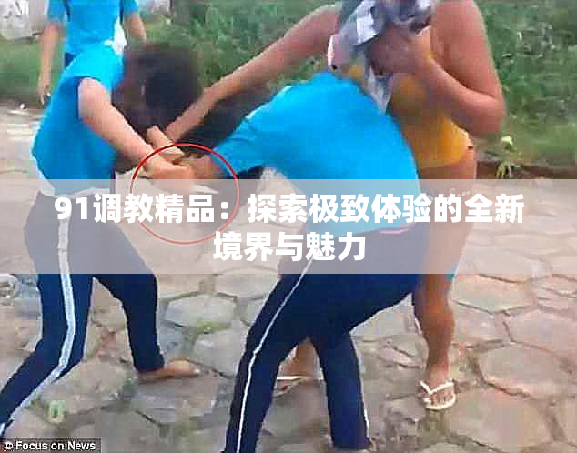91调教精品：探索极致体验的全新境界与魅力