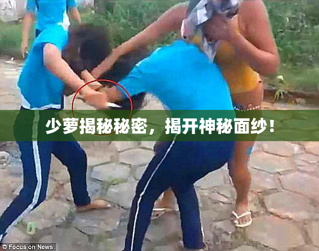 少萝揭秘秘密，揭开神秘面纱！