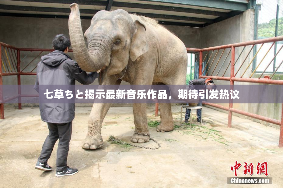 七草ちと揭示最新音乐作品，期待引发热议