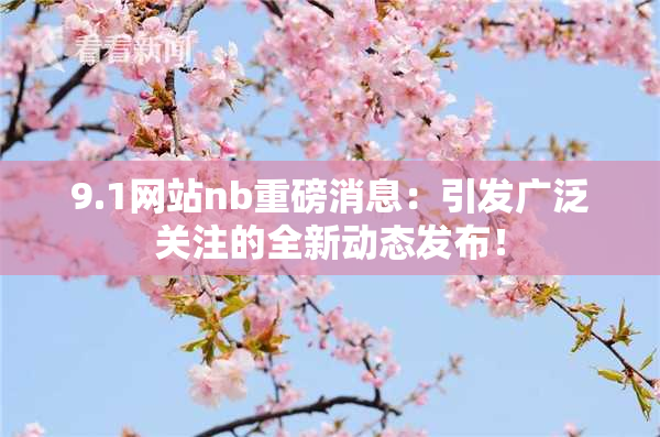 9.1网站nb重磅消息：引发广泛关注的全新动态发布！