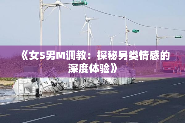 《女S男M调教：探秘另类情感的深度体验》