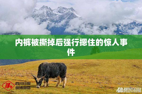 内裤被撕掉后强行摁住的惊人事件