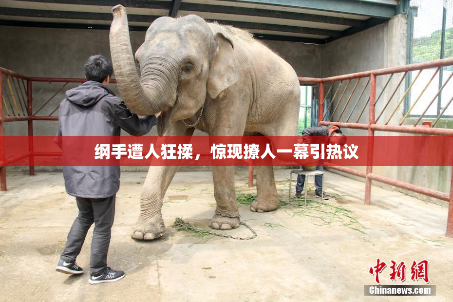 纲手遭人狂揉，惊现撩人一幕引热议