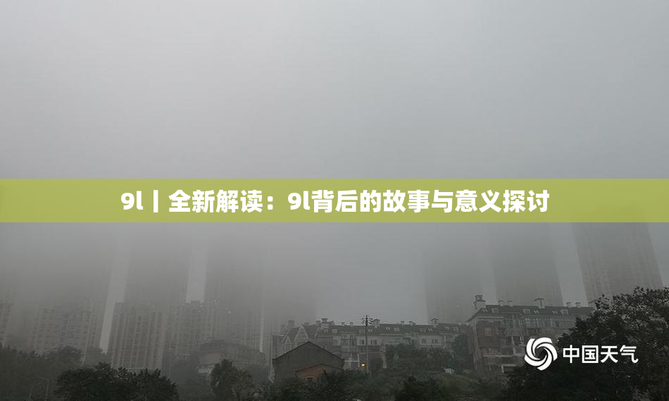 9l丨全新解读：9l背后的故事与意义探讨