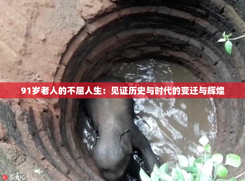 91岁老人的不屈人生：见证历史与时代的变迁与辉煌