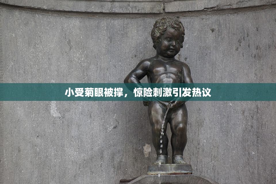 小受菊眼被撑，惊险刺激引发热议