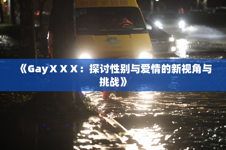 《GayⅩⅩⅩ：探讨性别与爱情的新视角与挑战》