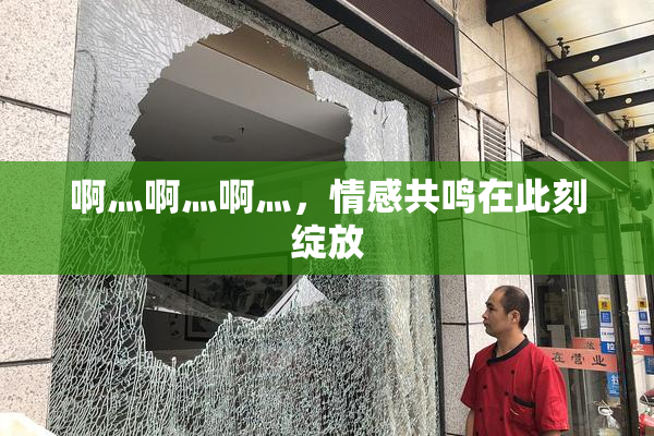 啊灬啊灬啊灬，情感共鸣在此刻绽放