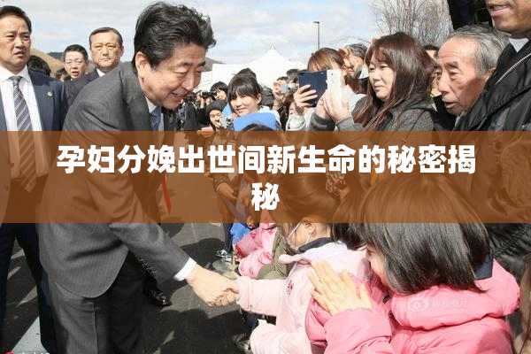 孕妇分娩出世间新生命的秘密揭秘