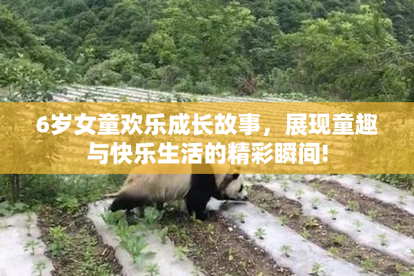 6岁女童欢乐成长故事，展现童趣与快乐生活的精彩瞬间!