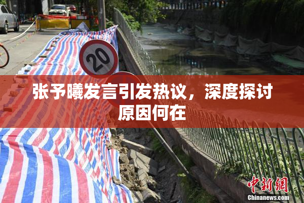 张予曦发言引发热议，深度探讨原因何在