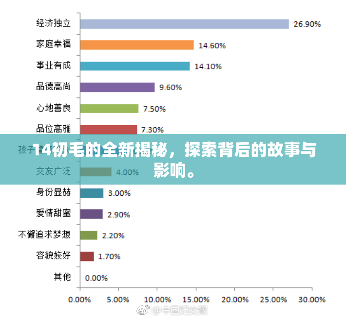 14初毛的全新揭秘，探索背后的故事与影响。