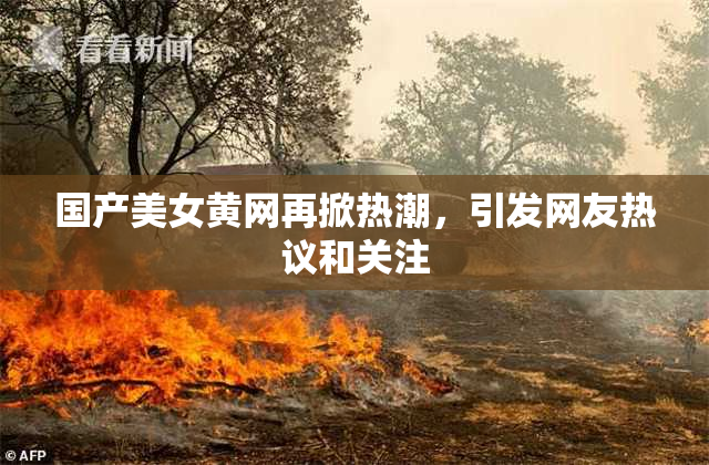 国产美女黄网再掀热潮，引发网友热议和关注