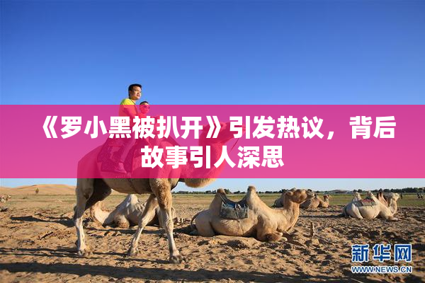 《罗小黑被扒开》引发热议，背后故事引人深思
