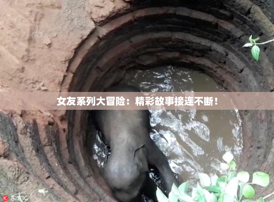 女友系列大冒险：精彩故事接连不断！